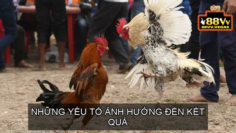 Những Yếu Tố Ảnh Hưởng Đến Kết Quả