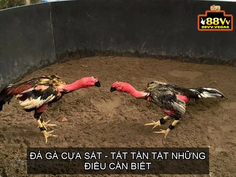 da ga cua sat 68ec9321f33b4