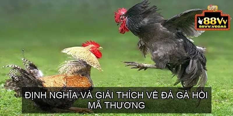 da ga hoi ma thuong 68ec930e4c35d