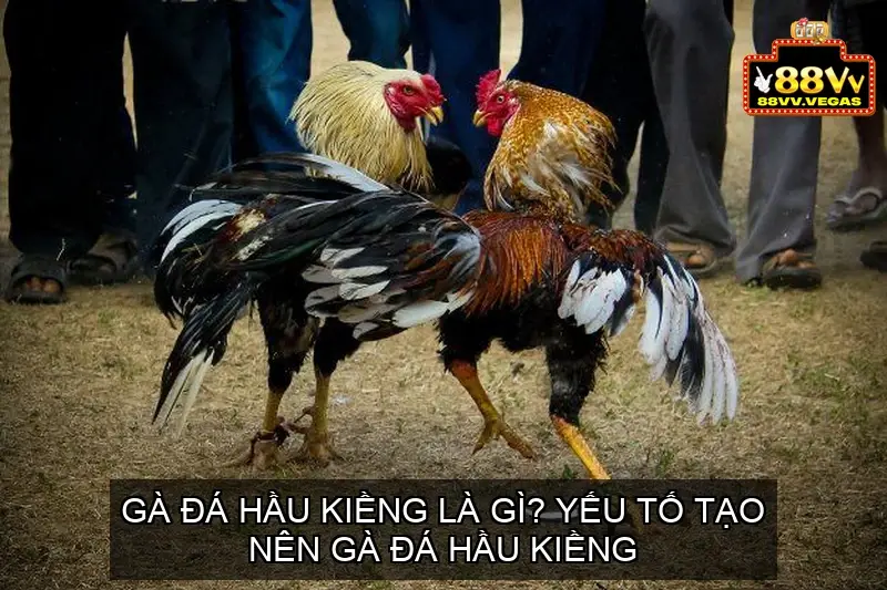 ga da hau kieng 68ec931d33112