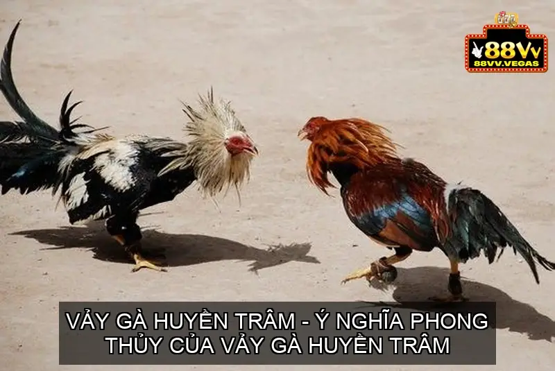 vay ga huyen tram 68ec93134fe2f