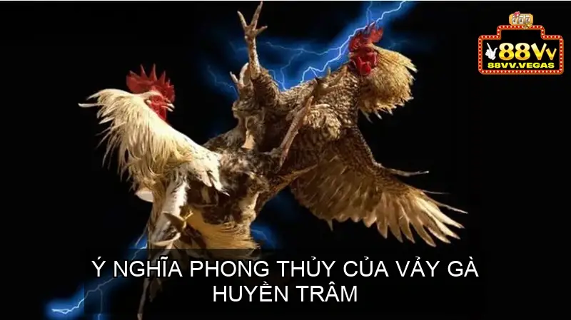 Ý Nghĩa Phong Thủy Của Vảy Gà Huyền Trâm
