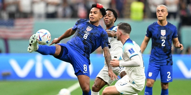 Những nội dung chính chuyên mục bảng xếp hạng cung cấp